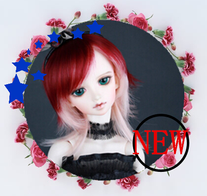 NO1 Professional doll bjd hair wig